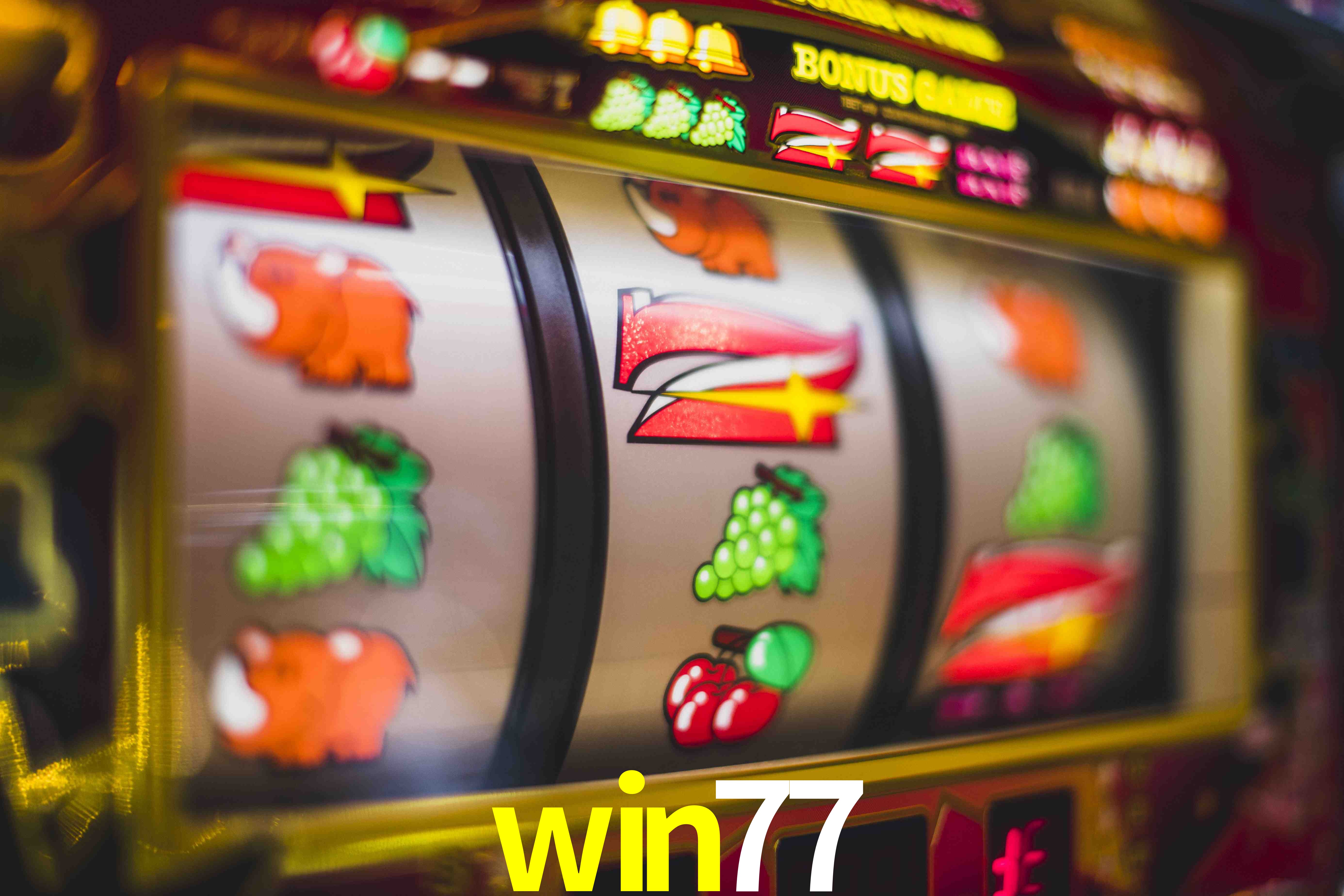 VIP Casino win77